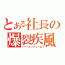 とある社長の爆裂疾風弾（バーストストリーム）