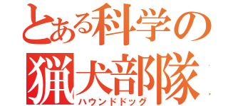 とある科学の猟犬部隊（ハウンドドッグ）