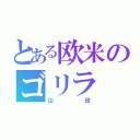 とある欧米のゴリラ（山田）