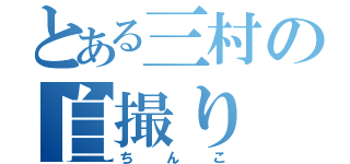 とある三村の自撮り（ちんこ）