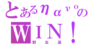 とあるηανｏのＷＩＮ！（野生派）