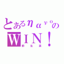 とあるηανｏのＷＩＮ！（野生派）