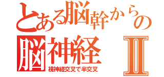 とある脳幹からの脳神経Ⅱ（視神経交叉で半交叉）