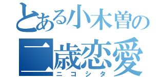 とある小木曽の二歳恋愛（ニコシタ）