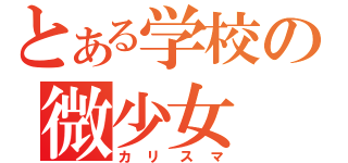 とある学校の微少女（カリスマ）