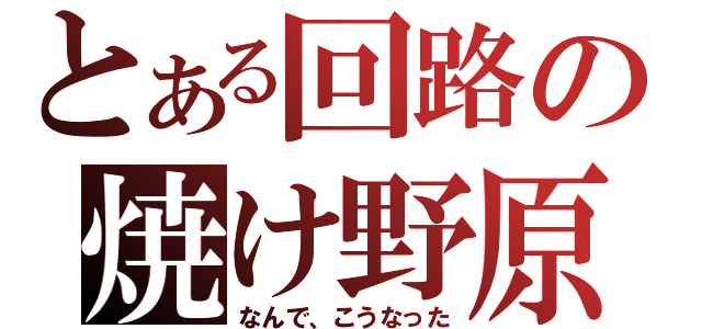 とある回路の焼け野原（なんで、こうなった）