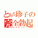 とある珍子の完全勃起（フルボッキ）