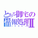 とある御宅の情報処理Ⅱ（ハチガキ）