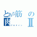 とある筋の肉Ⅱ（プロテイン）