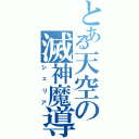 とある天空の滅神魔導師（シェリア）