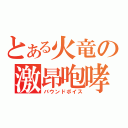 とある火竜の激昂咆哮（バウンドボイス）