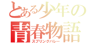 とある少年の青春物語（スプリングバレー）