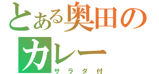 とある奥田のカレー（サラダ付）