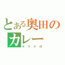 とある奥田のカレー（サラダ付）