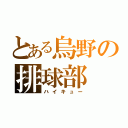 とある烏野の排球部（ハイキュー）