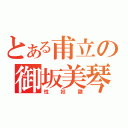 とある甫立の御坂美琴（性奴隷）