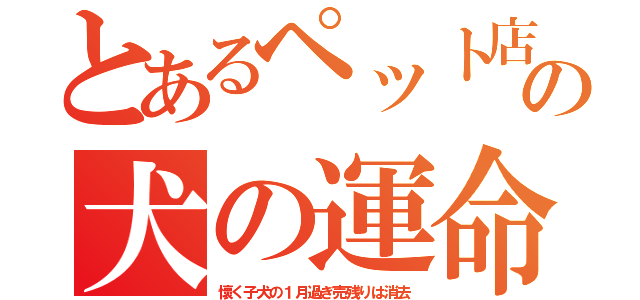 とあるペット店の犬の運命（懷く子犬の１月過ぎ売残りは消去）