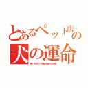 とあるペット店の犬の運命（懷く子犬の１月過ぎ売残りは消去）