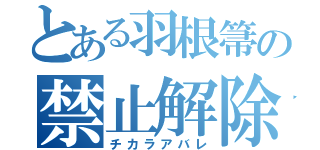 とある羽根箒の禁止解除（チカラアバレ）