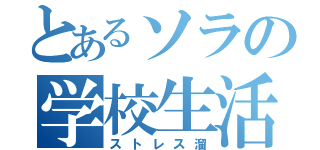 とあるソラの学校生活（ストレス溜）