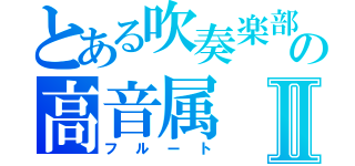 とある吹奏楽部の高音属Ⅱ（フルート）