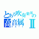 とある吹奏楽部の高音属Ⅱ（フルート）