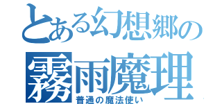 とある幻想郷の霧雨魔理沙（普通の魔法使い）