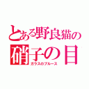 とある野良猫の硝子の目（ガラスのブルース）