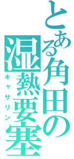 とある角田の湿熱要塞（キャサリン）