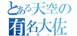 とある天空の有名大佐（目がー）