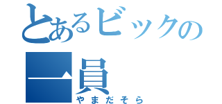 とあるビックの一員（やまだそら）