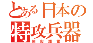 とある日本の特攻兵器（刺突爆雷）