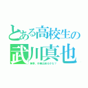 とある高校生の武川真也（無事、卒業出来るかな？）