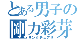 とある男子の剛力彩芽（サンクチュアリ）