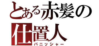 とある赤髪の仕置人（パニッシャー）