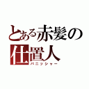 とある赤髪の仕置人（パニッシャー）