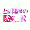 とある陽泉の紫原 敦（ビッグエンジェル）