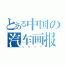 とある中国の汽车画报（ＣＮＡＰ）