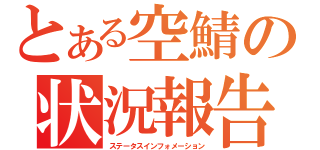 とある空鯖の状況報告（ステータスインフォメーション）