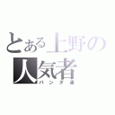 とある上野の人気者（パンダ達）