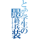 とある学生の最終兵装（オメガウェポン）