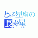 とある星座の長寿星（カノープス）