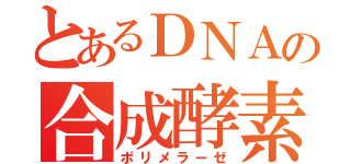 とあるＤＮＡの合成酵素（ポリメラーゼ）