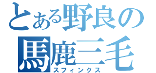 とある野良の馬鹿三毛（スフィンクス）