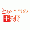 とある帅气の王狗仔（王舟木）