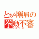 とある塵屑の挙動不審（シノンストーカー）