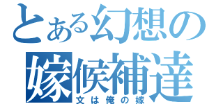 とある幻想の嫁候補達（文は俺の嫁）