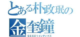 とある朴政珉の金奎鐘（ＳＳ５０１インデックス）