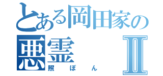 とある岡田家の悪霊Ⅱ（照ぽん）