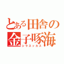 とある田舎の金子啄海（シラスッカス）